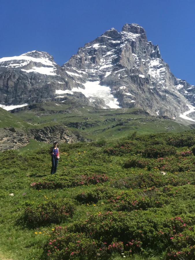 Piccolo Paradiso In Centro Cervinia Breuil-Cervinia Bagian luar foto